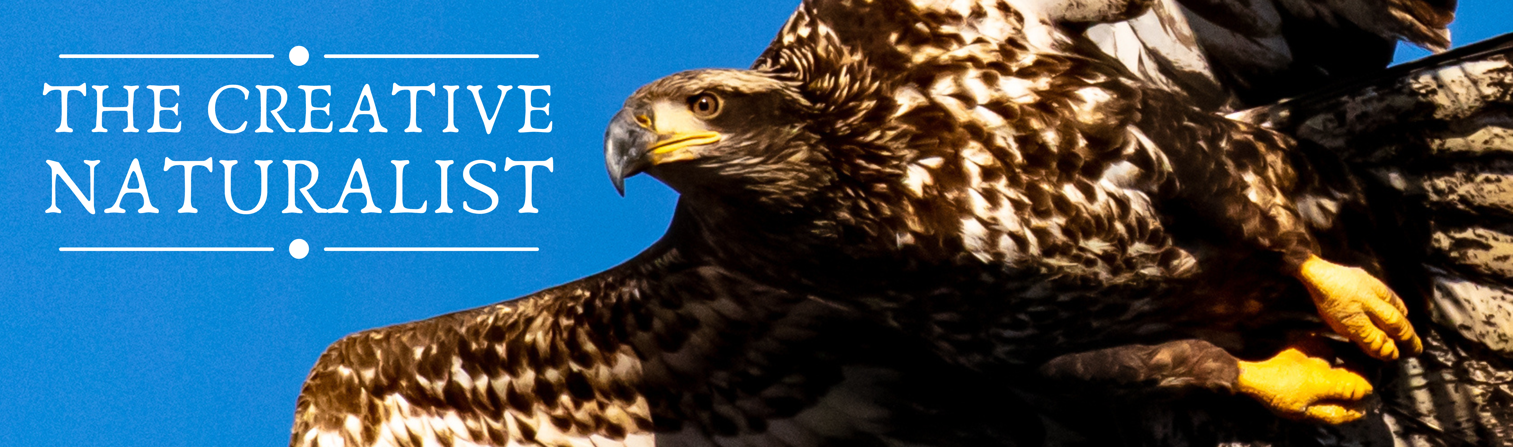 The Creative Naturalist Logo